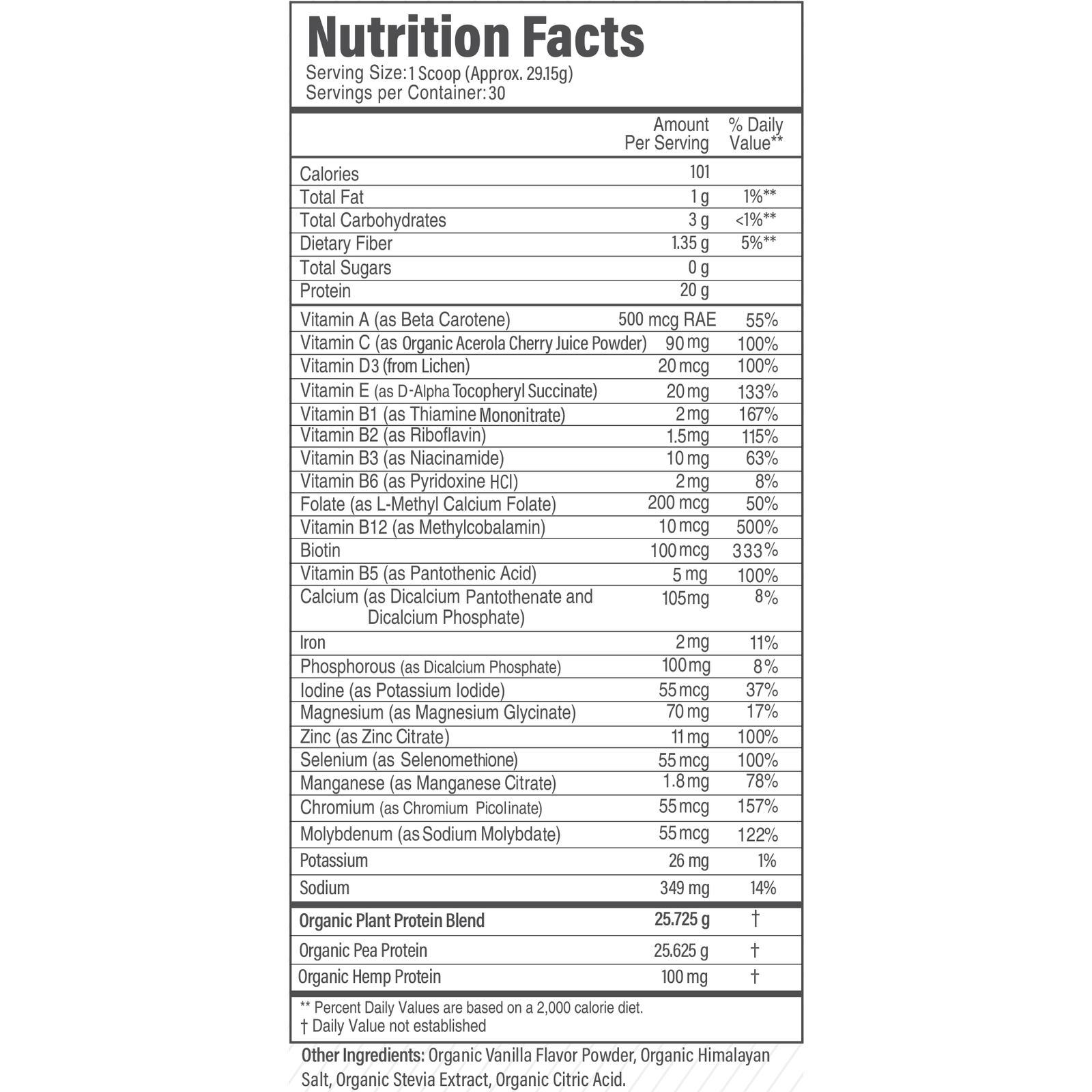 plant-based-protein-facts plant-based-protein-facts