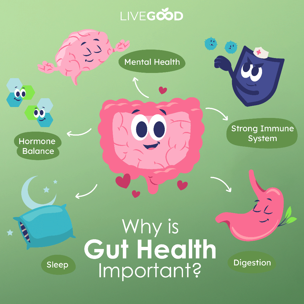 probitotic-gut-support-graphic
