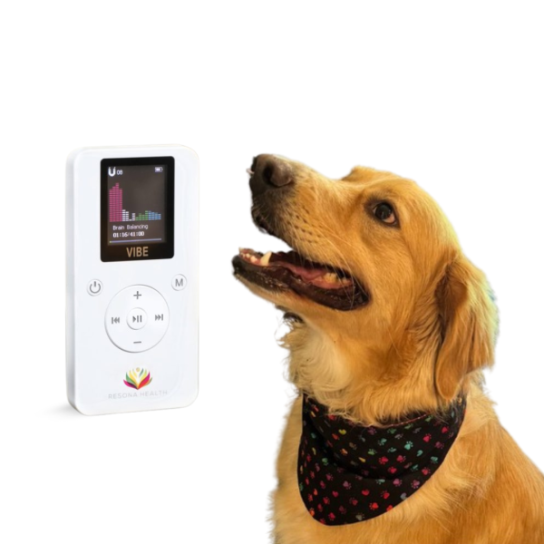 PEMF Therapy for Dogs PEMF Therapy for Dogs