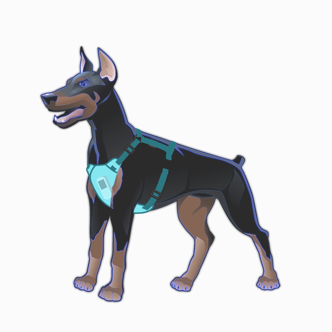 pemf for dogs pemf for dogs