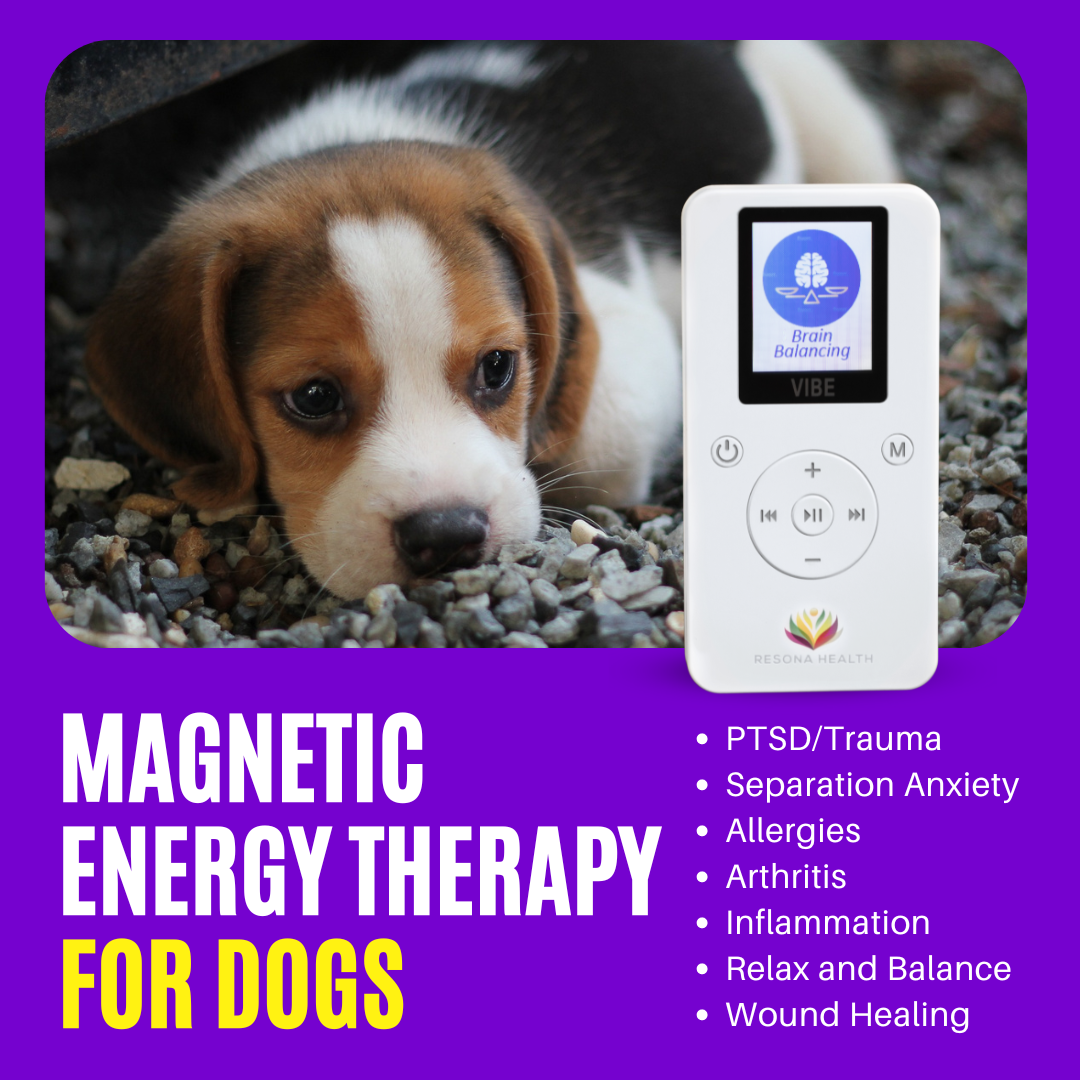 PEMF for dogs PEMF for dogs
