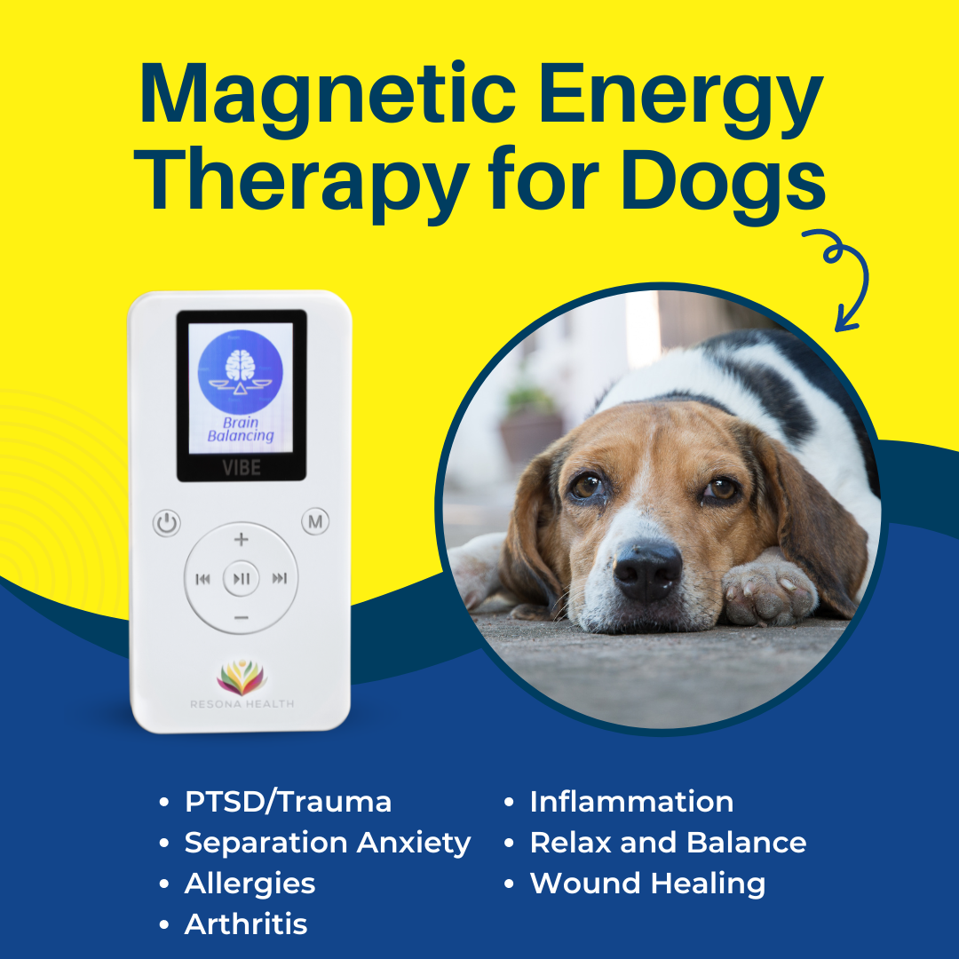 PEMF for dogs PEMF for dogs