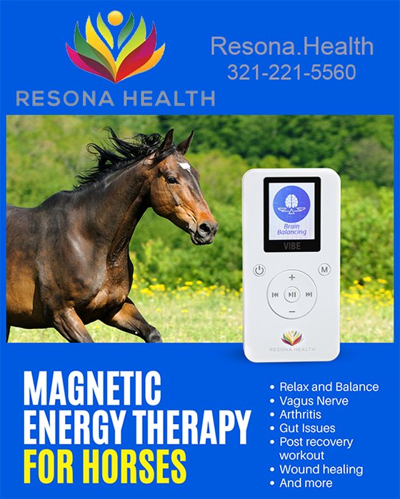 Magnetic Energy Therapy for Horses Magnetic Energy Therapy for Horses